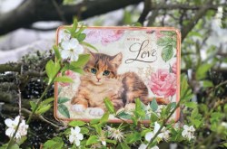 Cute Kitten in the Garden Tin